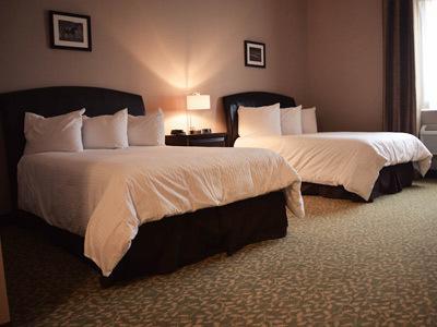 Belvedere Inn Schenectady - Albany 部屋 写真