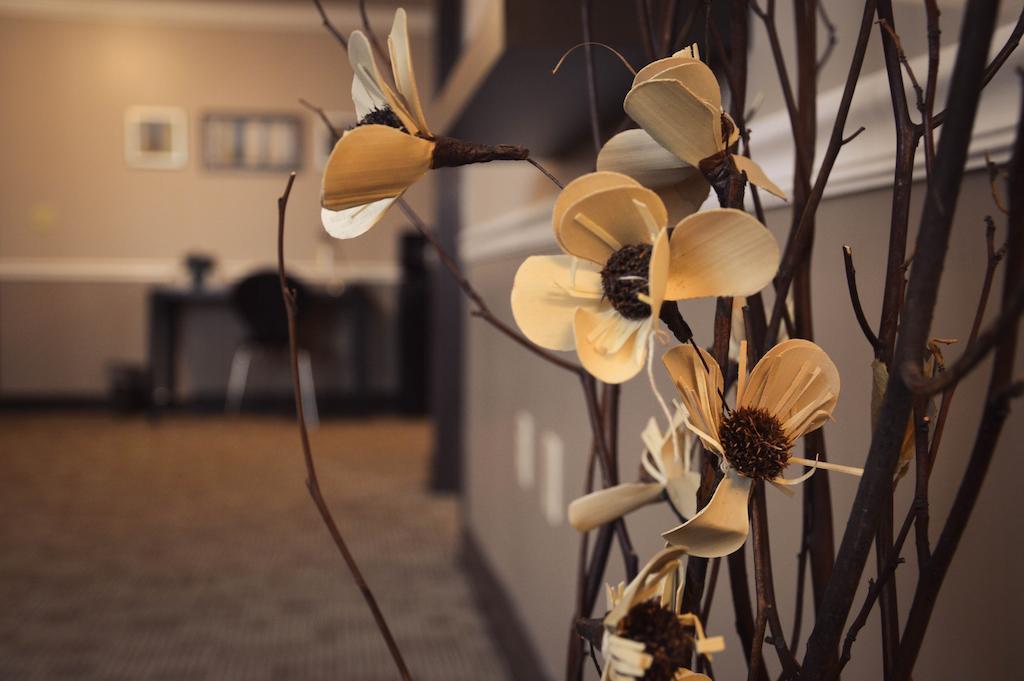 Belvedere Inn Schenectady - Albany 部屋 写真